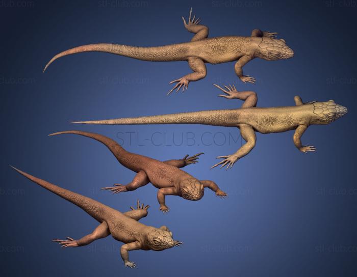 3D model lizard (STL)